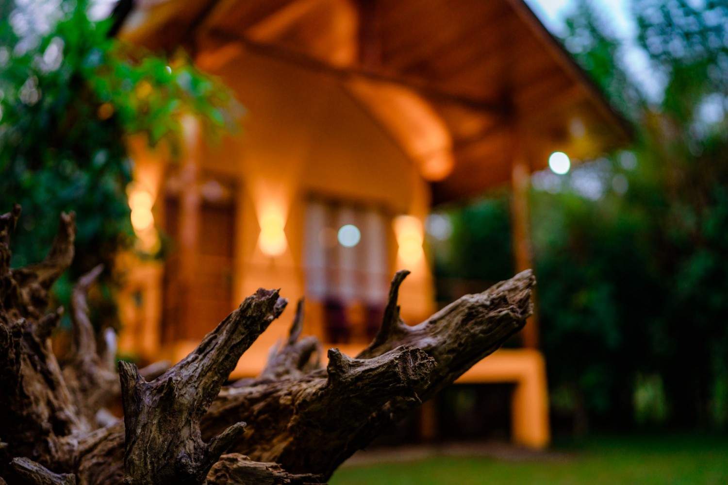 Luxury Cottage View